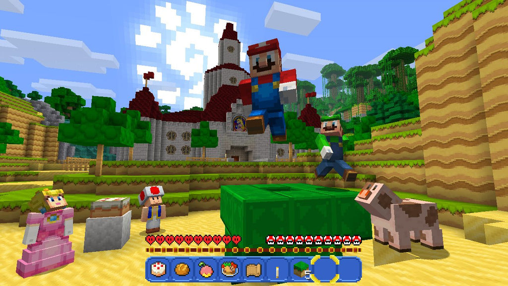 Minecraft Switch 5