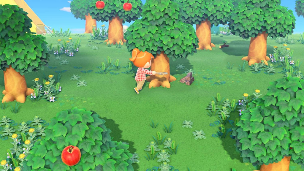Animal Crossing: New Horizons Switch 6