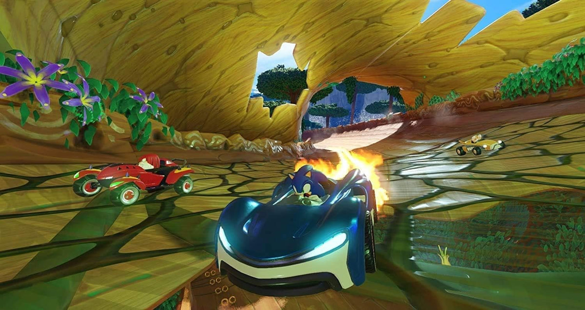 Team Sonic Racing PS4 3