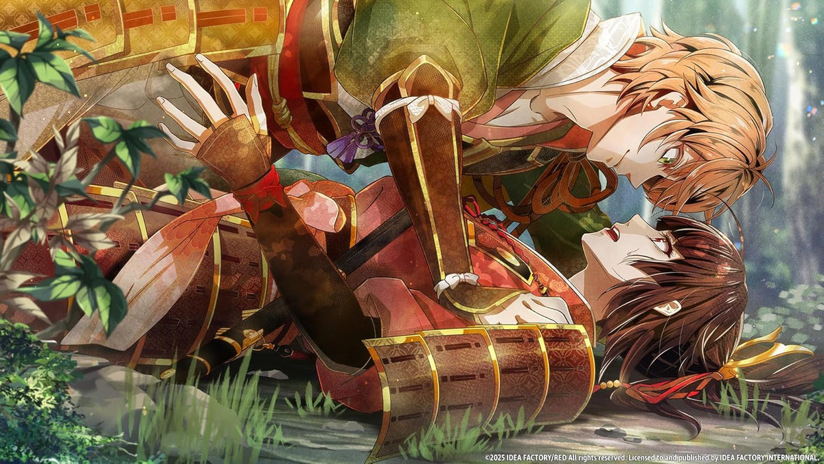Birushana: Winds Of Fate Switch 4