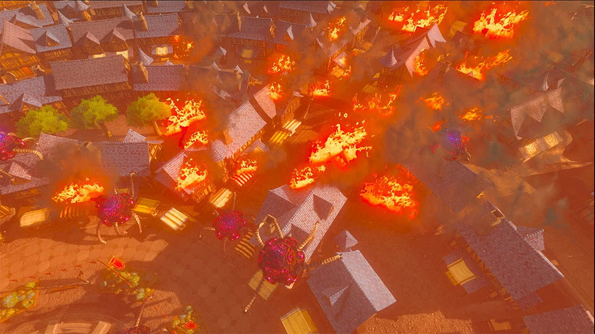 Zelda: Breath Of The Wild Switch 6