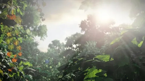 The Last Of Us Standard Edition (físico) 2013 - Excelente (Reacondicionado)