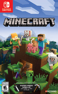 Minecraft Switch 1