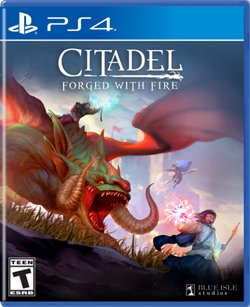 Citadel Forged With Fire PS4 1