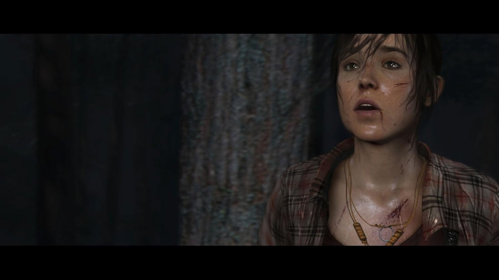Heavy Rain + Beyond Two Souls Collection (Europeo) PS4 5