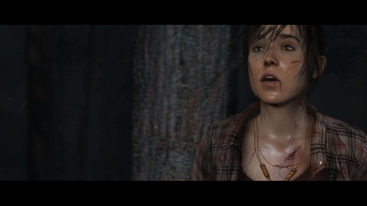 Heavy Rain + Beyond Two Souls Collection (Europeo) PS4 5